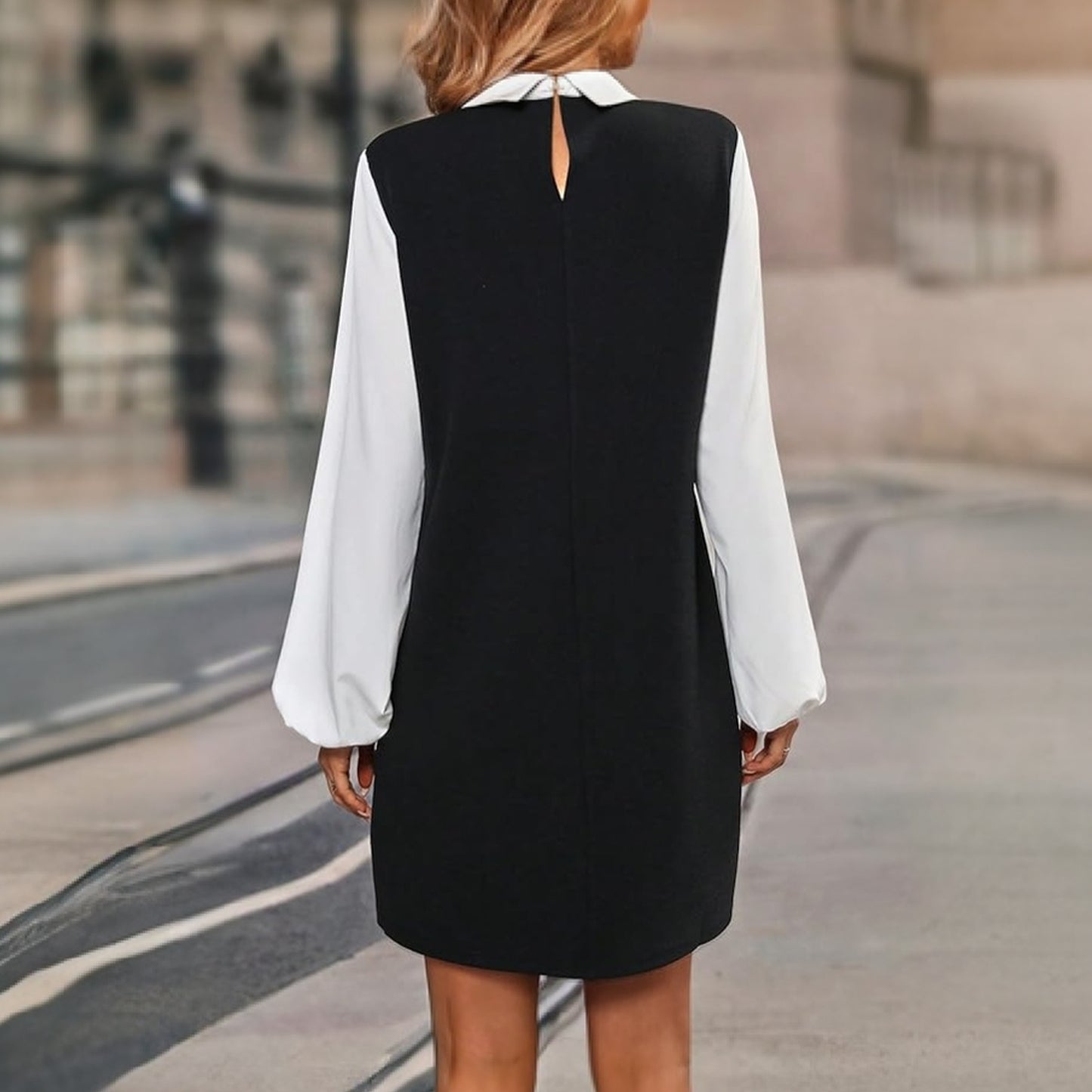 Women's Dresses Long Sleeve Lantern Sleeve 2-in-1 Dress Casual Spring Fall Outfit for Holidays Wedding Guests Business Everyday Wear (Black)